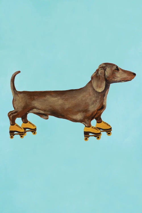 Dachshund With Rollerskates