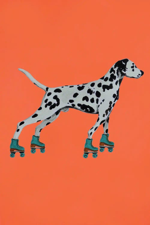 Dalmatian With Rollerskates