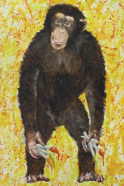 Coco de Paris: Monkey Artist by Coco de Paris