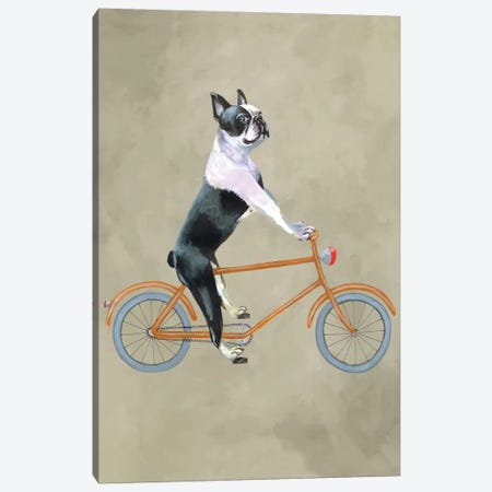 Boston Terrier On Bicycle Canvas Print #COC4} by Coco de Paris Canvas Art