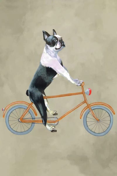 Kids Sports Art: Boston Terrier On Bicycle by Coco de Paris