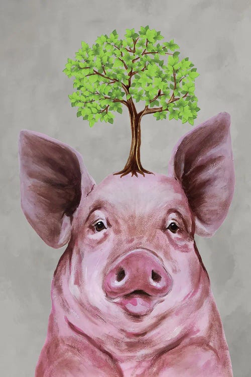 Pig With A Tree