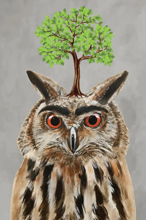 Owl With A Tree