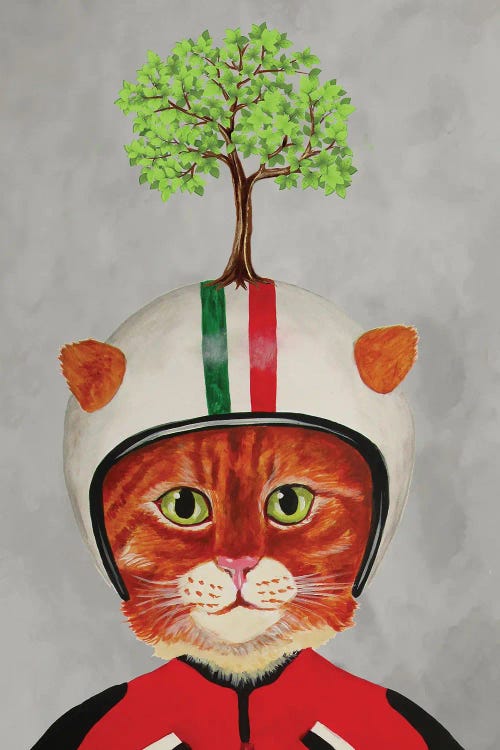 Cat With Helmet And A Tree