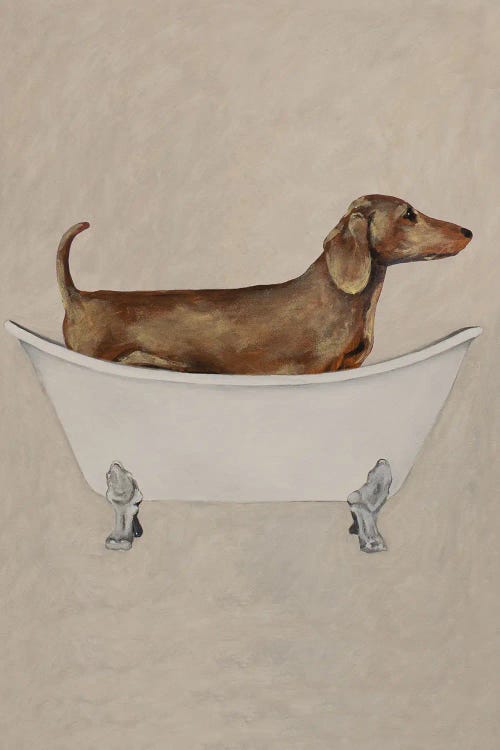 Dachshund In Bathtub