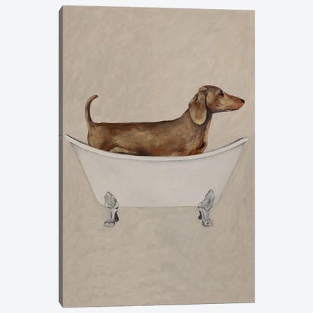 Dachshund In Bathtub Canvas Print #COC534} by Coco de Paris Canvas Print