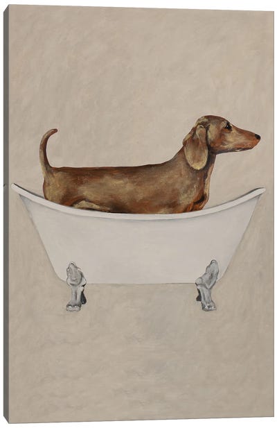 Dachshund In Bathtub Canvas Art Print - Coco de Paris