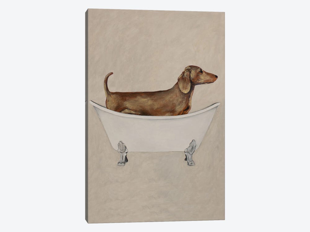 Dachshund In Bathtub by Coco de Paris 1-piece Canvas Artwork