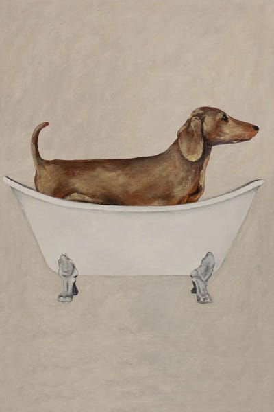 Coco de Paris: Dachshund In Bathtub by Coco de Paris
