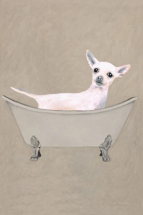 Chihuahua In Bathtub