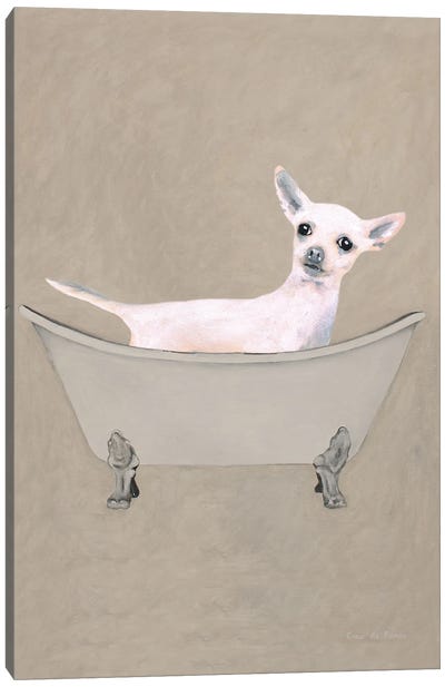 Chihuahua In Bathtub Canvas Art Print - Chihuahua Art