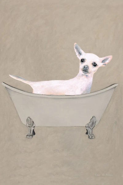 Chihuahuas: Chihuahua In Bathtub by Coco de Paris