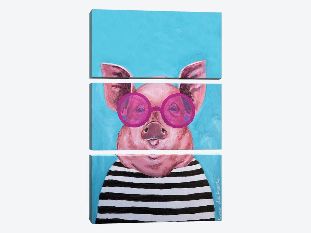 Stripey Pig by Coco de Paris 3-piece Canvas Wall Art