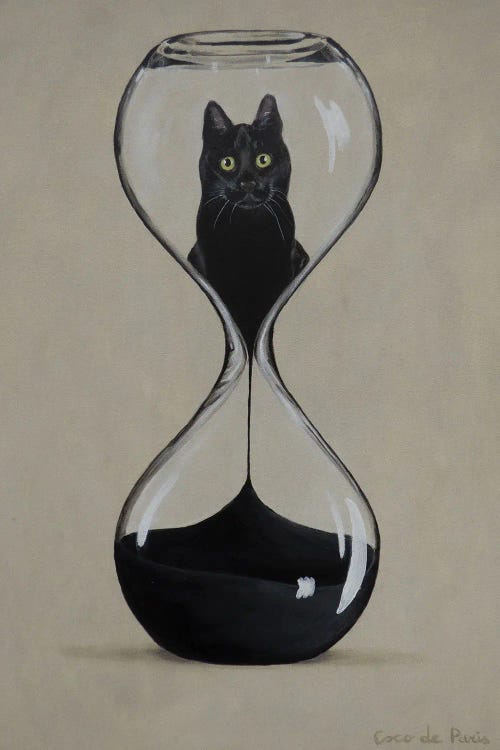 Hourglass Cat