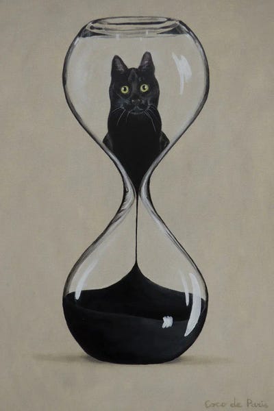 Coco de Paris: Hourglass Cat by Coco de Paris