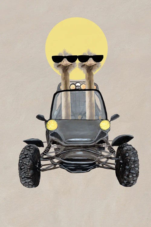 Osteriches In Dunebuggy