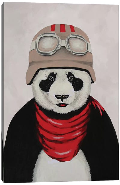 Panda Aviator Canvas Art Print - Panda Art