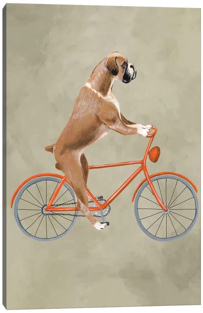Boxer On Bicycle Canvas Art Print - Kids Transportation Art