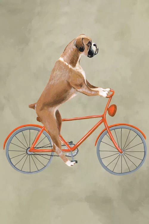 Boxer On Bicycle