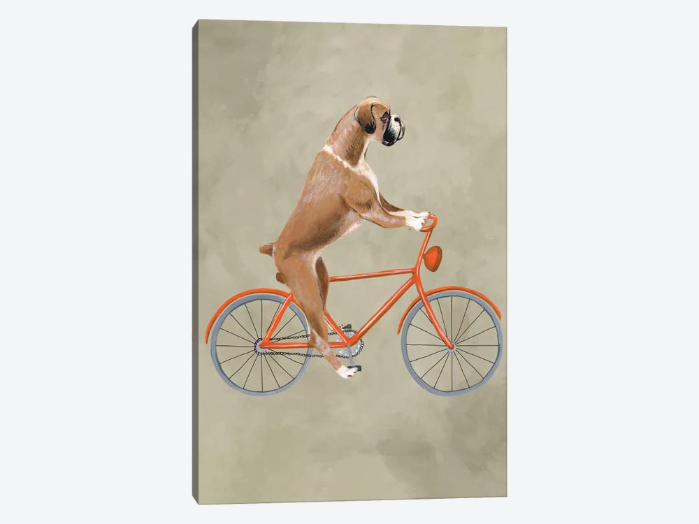 Boxer On Bicycle by Coco de Paris 1-piece Canvas Art Print