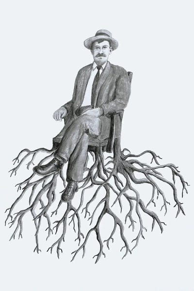 Roots