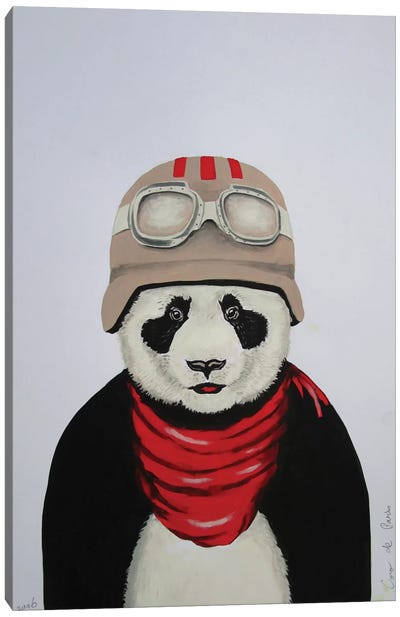 Panda With Helmet Canvas Art Print - Panda Art