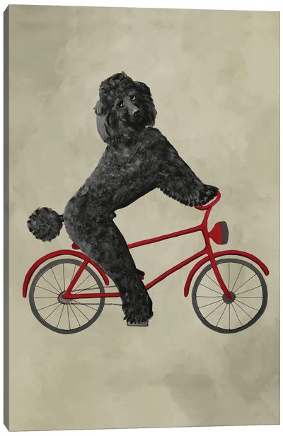 Poodle On Bicycle Canvas Art Print - Bicycle Art