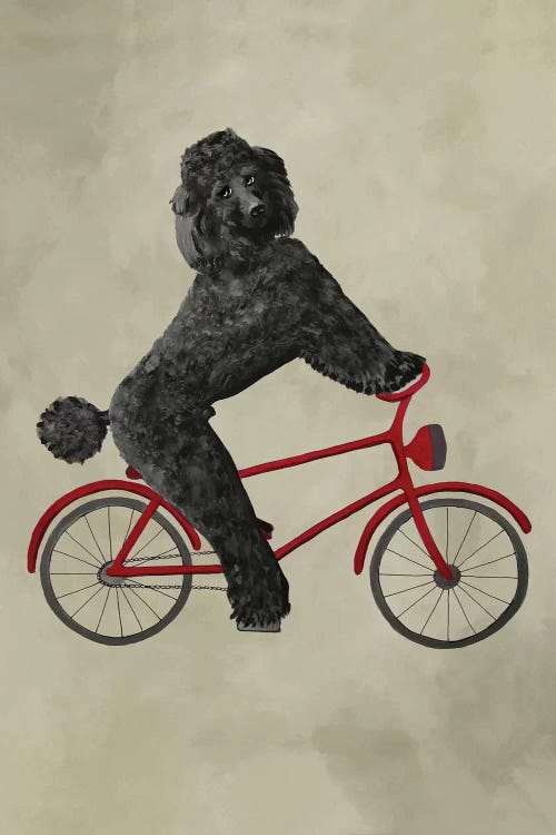 Poodle On Bicycle