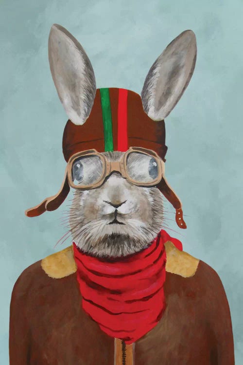 Rabbit Aviator I