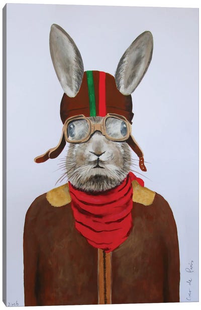 Rabbit Aviator II Canvas Art Print - Rabbit Art