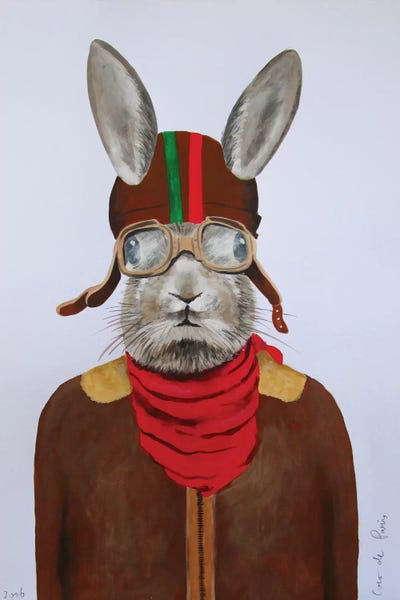 Coco de Paris: Rabbit Aviator II by Coco de Paris
