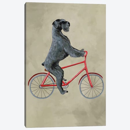 Schnauzer On Bicycle Canvas Print #COC70} by Coco de Paris Art Print