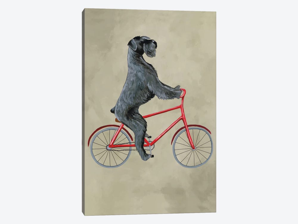 Schnauzer On Bicycle by Coco de Paris 1-piece Canvas Print