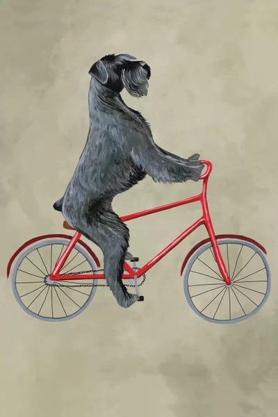 Kids Sports Art: Schnauzer On Bicycle by Coco de Paris