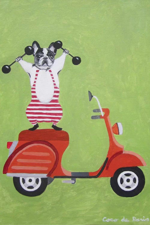 Sporty Bulldog On Vespa by Coco de Paris wall art