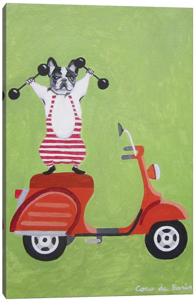 Sporty Bulldog On Vespa Canvas Art Print - French Bulldog Art