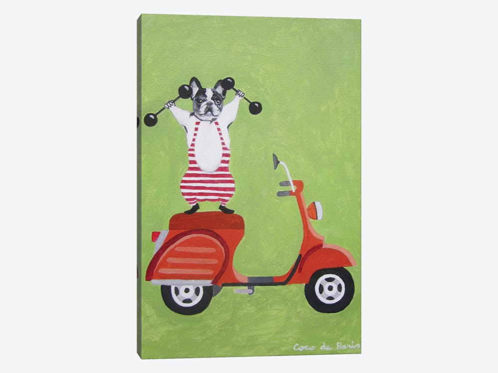 Sporty Bulldog On Vespa by Coco de Paris 1-piece Art Print