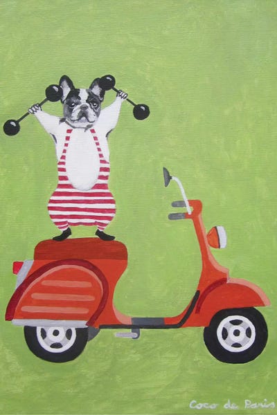 Sporty Bulldog On Vespa