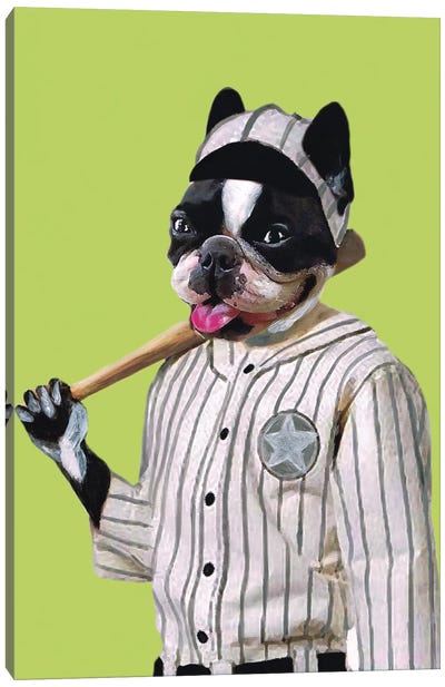 Bulldog Baseball Player Canvas Art Print - French Bulldog Art