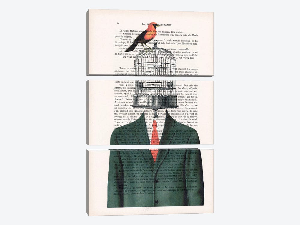 Birdcage Man by Coco de Paris 3-piece Canvas Print