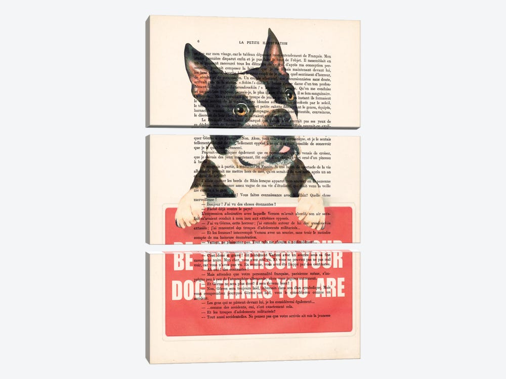 Boston Terrier With Message by Coco de Paris 3-piece Canvas Art