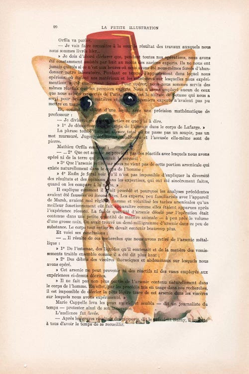 Chihuahua With Fez by Coco de Paris wall art