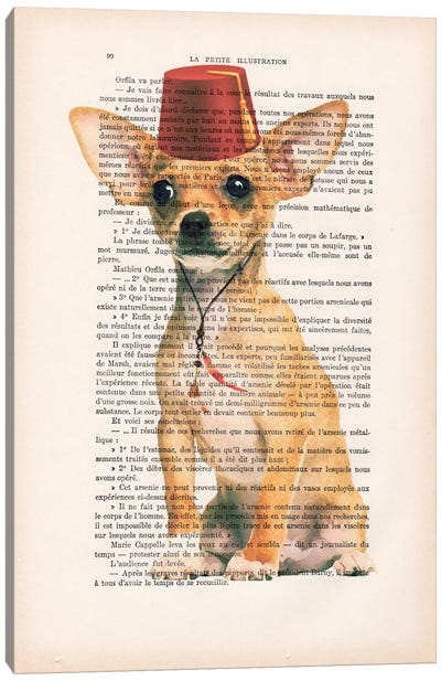 Chihuahua With Fez Canvas Art Print - Coco de Paris