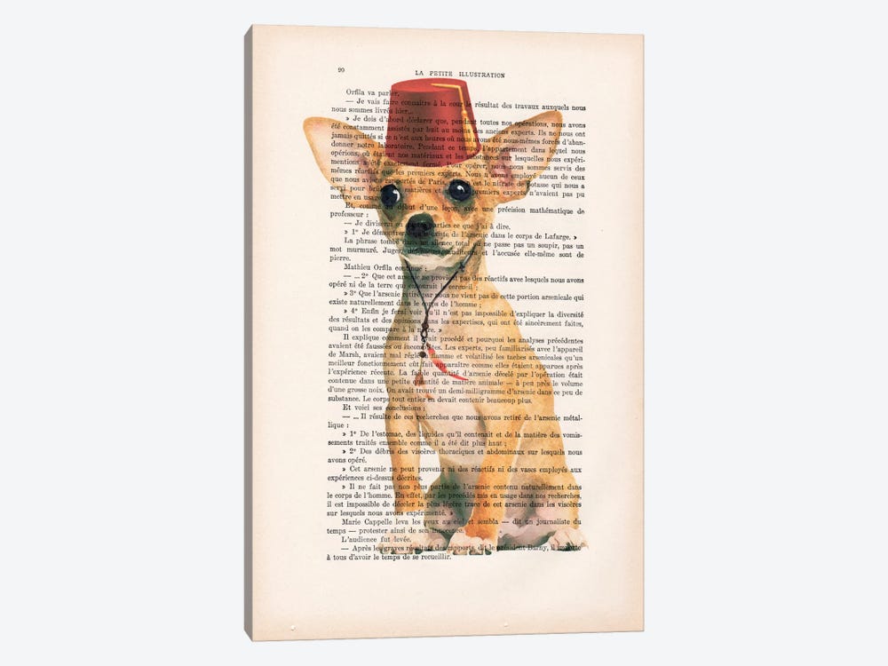 Chihuahua With Fez by Coco de Paris 1-piece Canvas Art Print