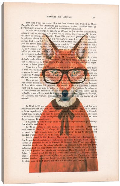 Clever Fox Canvas Art Print - Fox Art