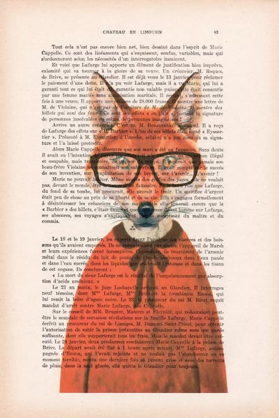 Coco de Paris: Clever Fox by Coco de Paris
