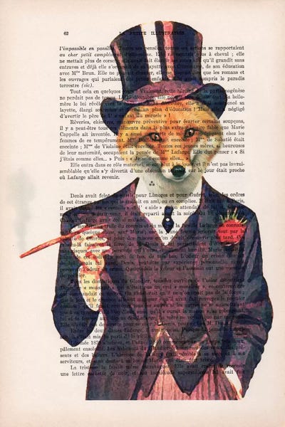 Foxes: Dapper Fox by Coco de Paris