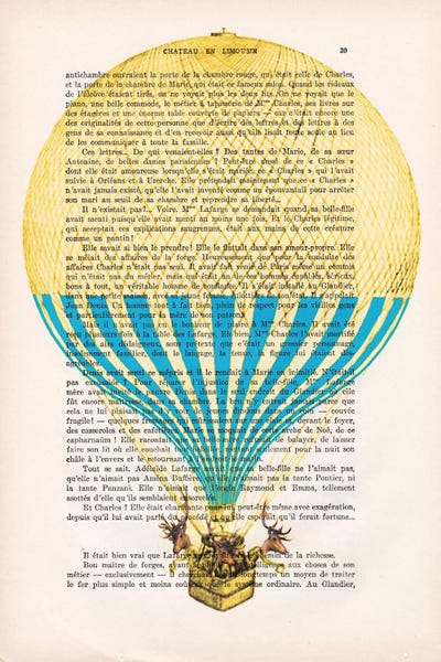 Hot Air Balloons: Deer In Air Balloon by Coco de Paris