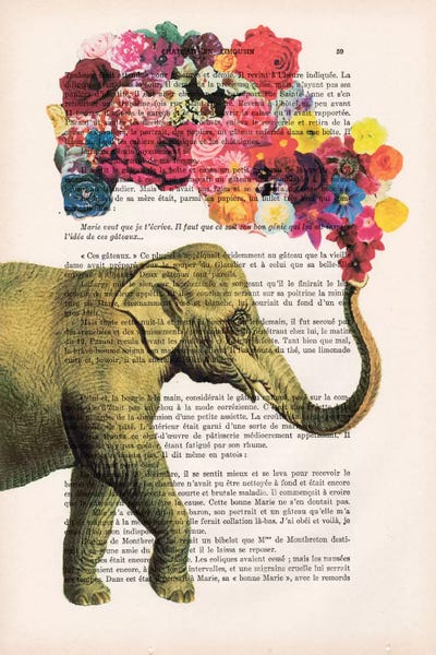 Coco de Paris: Elephant Flowers by Coco de Paris