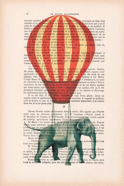 Hot Air Balloons: Elephant With Air Balloon by Coco de Paris